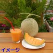 画像4: ふらのメロン大玉(Lサイズ)2kg以上・１玉・化粧箱入 (4)