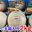 画像1: ふらのメロン大玉(Lサイズ)2kg以上・１玉・化粧箱入 (1)