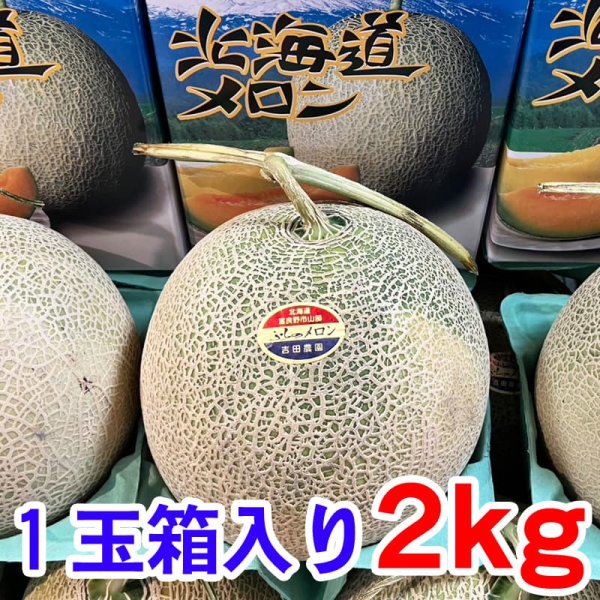 画像1: ふらのメロン大玉(Lサイズ)2kg以上・１玉・化粧箱入 (1)