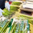 画像3: 【規格外品・特別価格】アスパラ500g 鮮度保持袋入・６月下旬販売終了予定 (3)