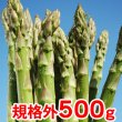 画像1: 【規格外品・特別価格】アスパラ500g 鮮度保持袋入・６月下旬販売終了予定 (1)