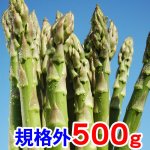 画像1: 【規格外品・特別価格】アスパラ500g 鮮度保持袋入・６月下旬販売終了予定 (1)