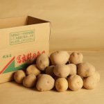 画像3: 訳ありアスパラ1キロ袋 & 栗じゃが2キロ袋 セット・６月下旬販売終了予定 (3)