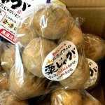 画像1: 栗じゃが 600g Mサイズ 低温熟成 品種：黄爵（とうや） (1)