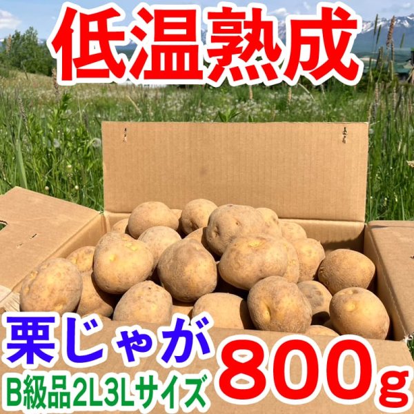 画像1: 【規格外品・特別価格】栗じゃが 800g B級品 2L〜3Lサイズ 低温熟成 品種：黄爵（とうや）・６月下旬販売終了予定 (1)