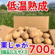 画像1: 【規格外品・特別価格】栗じゃが 700g B級品 2L〜3Lサイズ 低温熟成 品種：黄爵（とうや） (1)
