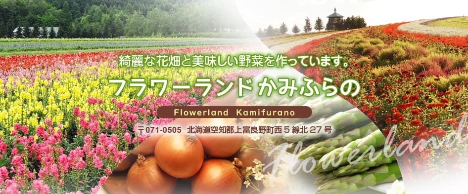 フラワーランドかみふらのへのリンク