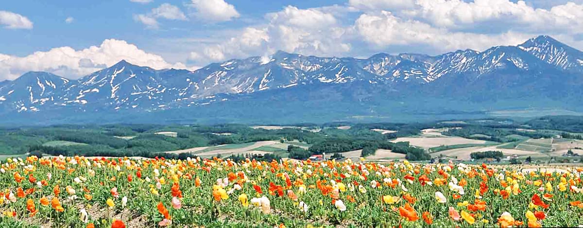 ふらのガーデンカフェから望む十勝岳連峰